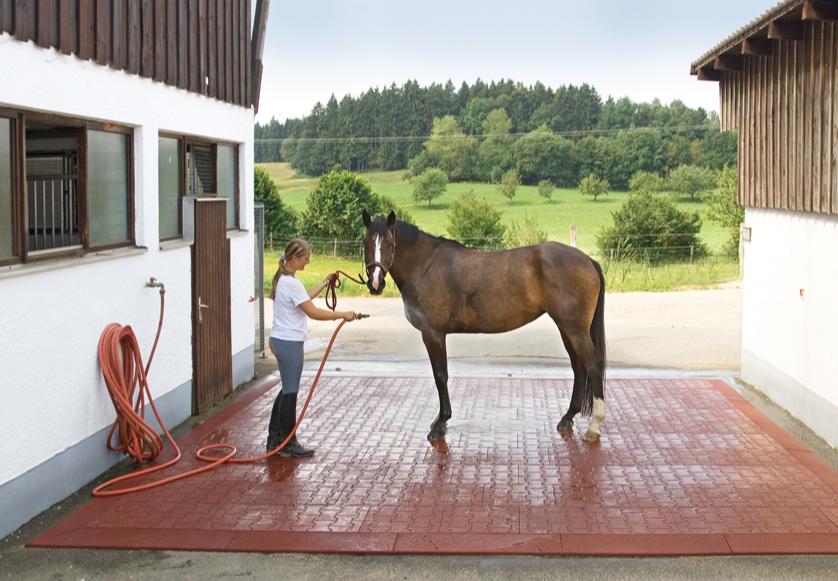 Wash Bays for Horses Jelka